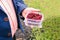 A man holds in his hand a plastic box with dried maroon berries. Businessman shows the harvest from the farm. Berry production on