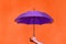 A man holds in his hand a purple umbrella on a background of an orange wall. Concept autumn, business, art.