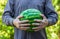 A man holds a ripe green watermelon in his hands.