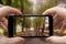 Man holds smartphone and is photographing trees in park in autumn