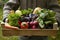 Man holds vegetables in a box in the garden. Carrots, lettuce, basil, pumpkin, zucchini, eggplant, bell peppers and radishes in a