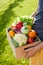 Man holds wooden box or crate full of freshly harvested vegetables, green grass background