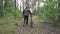 A man in a hood and a vest rolls a bicycle through the forest. Cycling and travel concept, slow mo