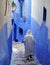 Man in hooded robe walks down the blue street