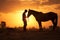 Man and a horse in a countryside field during sunset