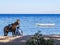 A Man with Horse on Dahab Beach