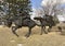 Man on horseback bringing game in \\\'Pioneer Courage\\\' in Pioneer Courage Park in Omaha, Nebraska.b