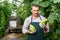 Man horticulturist in apron and gloves picking zucchinis in garden