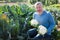 Man horticulturist showing harvest of cauliflower in garden