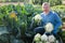 Man horticulturist showing harvest of cauliflower in garden