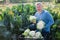 Man horticulturist showing harvest of cauliflower in garden