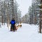 Man and Husky sledge in Lapland Finland reflex