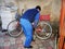 a man inflates a bicycle wheel pump