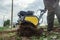 A man intensively plows his vegetable garden motor cultivator