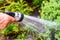 A man irrigates his garden with a pressure hose spraying water on the plants