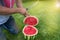Man in jeans kneels on the grass, cutting with a knife a red ripe watermelon for a summer family dinner