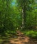 Man Jogging on a Nature Trail Pathway in the Park NY