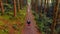Man jogging on a pathway in forest 4k