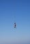 Man jumps from a great height, ropejumping