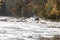 Man with kayak ride down the river rapids in Latvia