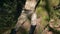 a man in a khaki uniform is resting in the forest under a tree