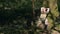 A man in a khaki uniform is resting in the forest under a tree