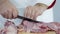 Man in kitchen cutting parts of turkey meat