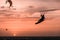 Man kitesurfer athlete jumping at sunset, silhouette at dusk kite surfer man doing board grab