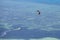 Man kitesurfing in ocean, extreme summer sport on island Koh Phangan, Thailand