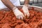 Man is kneading raw meat cig kofte with traditional method