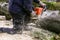 Man on the knee surrounded with sawdust cutting fallen tree with