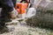 Man on the knee surrounded with sawdust cutting fallen tree with