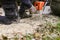 Man on the knee surrounded with sawdust cutting fallen tree with