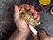 A man with a knife opens a fresh oyster. Dark stone background with lemon, ice, berries, selective focus