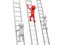 Man with ladder