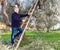 Man on ladder pruning olive tree
