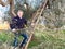 Man on ladder pruning olive tree