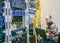 A man with a laptop sits in the server room of the data center. The system administrator works near the racks with the servers.