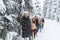 Man Lead Friends Group Snow Forest Young People Walking Outdoor