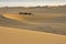 Man leading Bactrian camels in sand dunes of China`s Gobi Desert