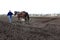 A man leads a horse which plows the soil by plow in the garden