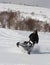 Man Leaning the snowmobile right over in the backcountry