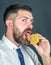 Man lick lemon. Vegetarian, health and wellbeing. Fruit and healthy organic food. Dieting and fitness. Vitamin citrus at