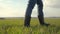 Man lifestyle farmer a red neck feet in rubber boots in cap is walking on a green field bottom view. Spring harvest