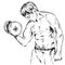 The man lifts the dumbbell, shakes arm muscles, biceps, triceps, fitness in the gym