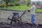 A man in a light jacket and jeans in the garden harvests potatoes using a cultivator. Agricultural work in the garden in the fall