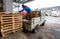 Man is loading wooden pallets on a truck in winter.