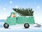 Man loads the christmas tree on the pickup truck