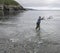 A Man at Logy Bay, Middle Cove throws a net to catch Capelin (Caplin)