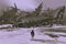 Man looking at remains of destroyed planes in snow